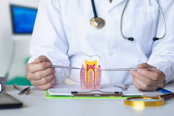 Best Broken or Chipped Tooth Repair in Cheat Lake, WV